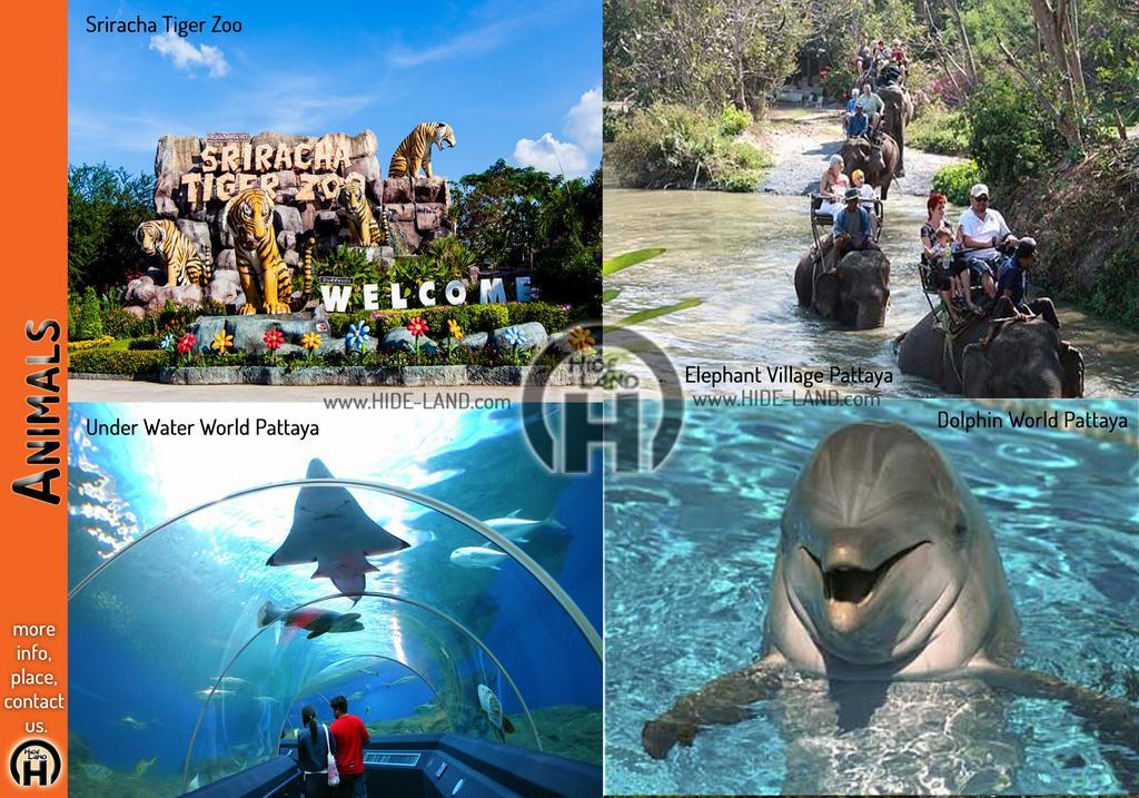 Hideland - The Luxury Tropical Villa Pattaya Bagian luar foto